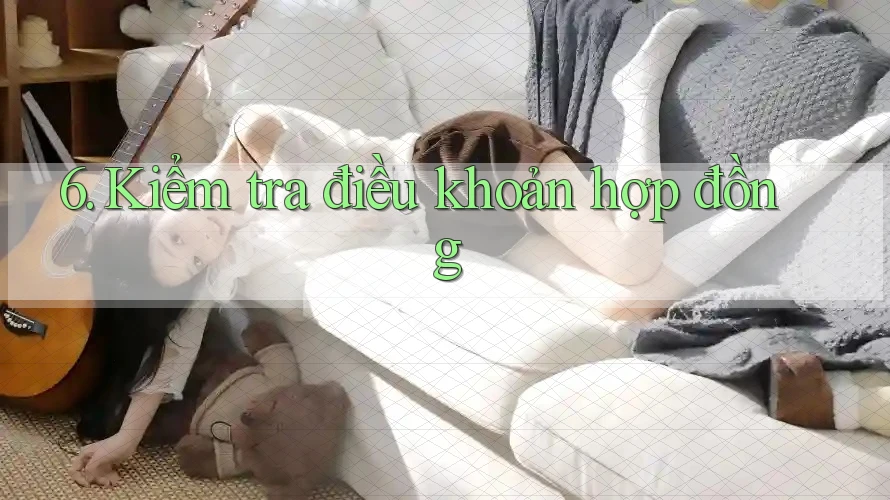 6. Kiểm tra điều khoản hợp đồng