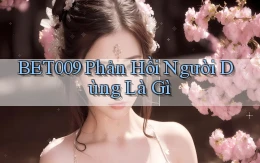 bet009 phản hồi người dùng là gì