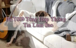 bet009 tổng hợp thông tin làm sao