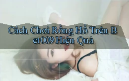 cách chơi rồng hổ trên bet009 hiệu quả