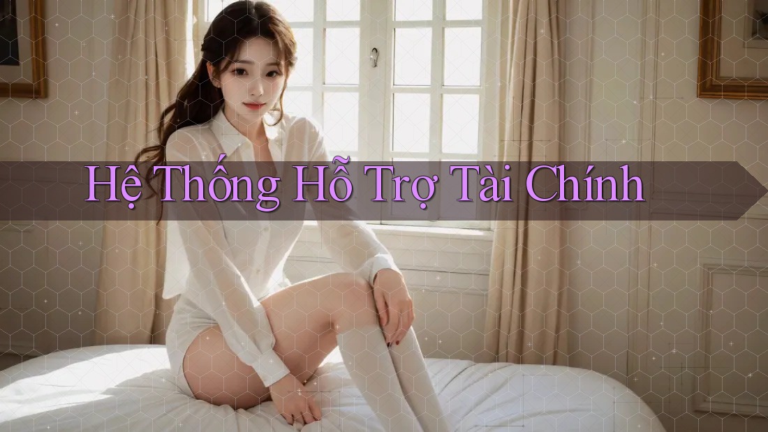 Hệ Thống Hỗ Trợ Tài Chính Hệ Thống Hỗ Trợ Tài Chính