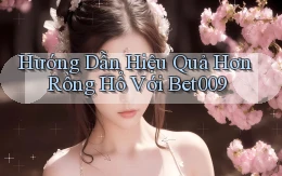 hướng dẫn hiệu quả hơn rồng hổ với bet009