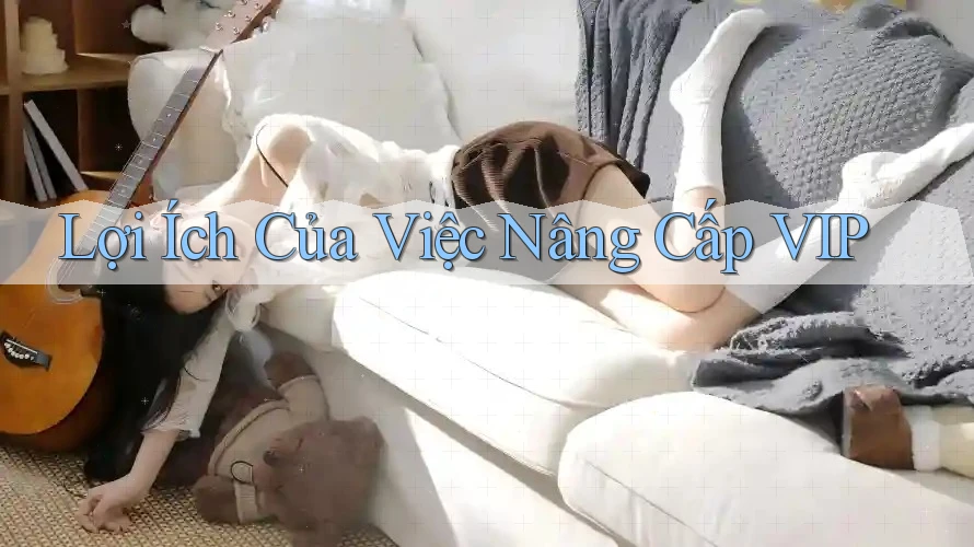 Lợi Ích Của Việc Nâng Cấp VIP Lợi Ích Của Việc Nâng Cấp VIP