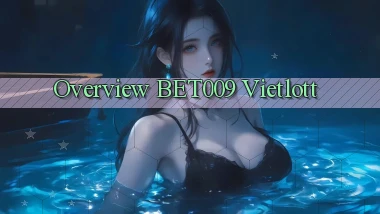 overview bet009 vietlott
