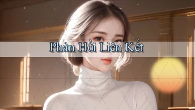 Phản hồi Liên kết