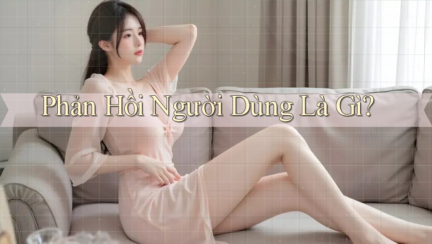 Phản Hồi Người Dùng Là Gì? Phản Hồi Người Dùng Là Gì?
