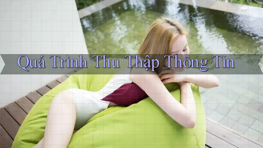 Quá Trình Thu Thập Thông Tin Quá Trình Thu Thập Thông Tin