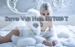 server việt nam bet009 top 3
