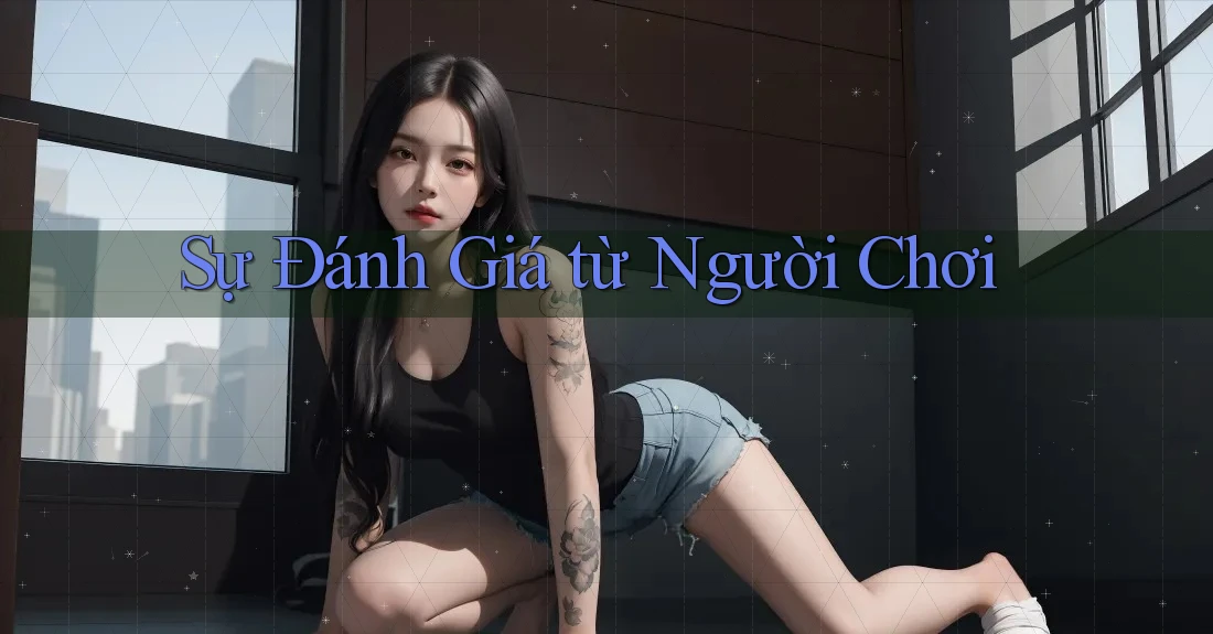 Sự Đánh Giá từ Người Chơi Sự Đánh Giá từ Người Chơi
