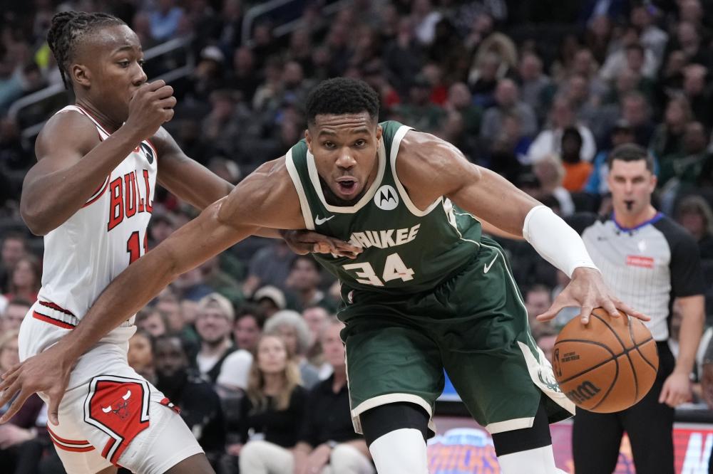 当地社区的 当地社区的