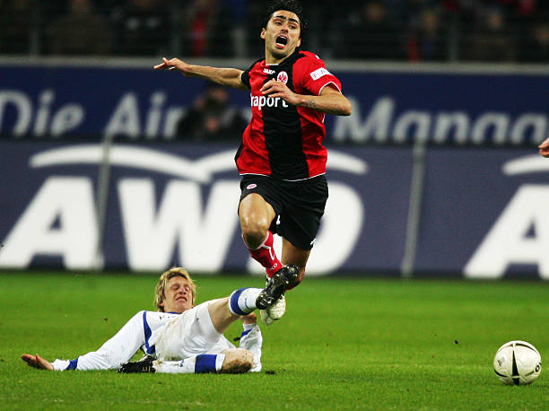 近20年的 近20年的